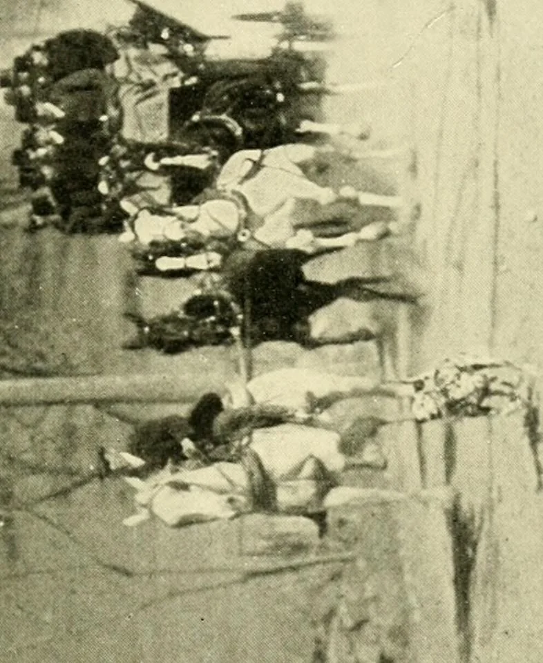 An illustration from Driving, 1903, leaf 89