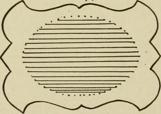 An illustration from Druggists' and dispensers' practial show card instructor .., 1914, leaf 122