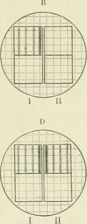 An illustration from Détermination expérimentale de la valeur du metre en longueurs d'ondes lumineuses, 1894, leaf 56