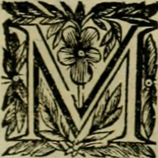 An illustration from Fasti ducales ab Anafesto I. ad Silvestrum Valerium Venetorum ducem : cum eorum iconibus, insignibus, nummismatibus publicis, & privatis aere sculptis : inscriptionibus ex aula M. Consilii, ac sepulchralibus : adiectae sunt adnotationes, ad vitam cuiusque principis, rerum, quae omissae fuerant, 1696, leaf 106