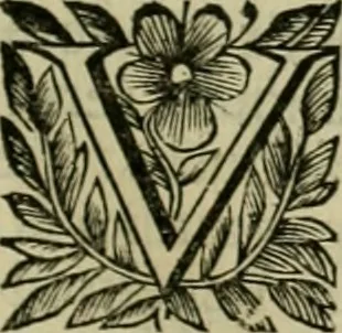 An illustration from Fasti ducales ab Anafesto I. ad Silvestrum Valerium Venetorum ducem : cum eorum iconibus, insignibus, nummismatibus publicis, & privatis aere sculptis : inscriptionibus ex aula M. Consilii, ac sepulchralibus : adiectae sunt adnotationes, ad vitam cuiusque principis, rerum, quae omissae fuerant, 1696, leaf 108