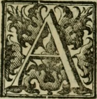 An illustration from Fasti ducales ab Anafesto I. ad Silvestrum Valerium Venetorum ducem : cum eorum iconibus, insignibus, nummismatibus publicis, & privatis aere sculptis : inscriptionibus ex aula M. Consilii, ac sepulchralibus : adiectae sunt adnotationes, ad vitam cuiusque principis, rerum, quae omissae fuerant, 1696, leaf 120