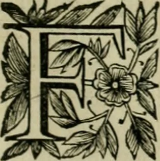 An illustration from Fasti ducales ab Anafesto I. ad Silvestrum Valerium Venetorum ducem : cum eorum iconibus, insignibus, nummismatibus publicis, & privatis aere sculptis : inscriptionibus ex aula M. Consilii, ac sepulchralibus : adiectae sunt adnotationes, ad vitam cuiusque principis, rerum, quae omissae fuerant, 1696, leaf 124