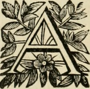An illustration from Fasti ducales ab Anafesto I. ad Silvestrum Valerium Venetorum ducem : cum eorum iconibus, insignibus, nummismatibus publicis, & privatis aere sculptis : inscriptionibus ex aula M. Consilii, ac sepulchralibus : adiectae sunt adnotationes, ad vitam cuiusque principis, rerum, quae omissae fuerant, 1696, leaf 127