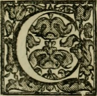 An illustration from Fasti ducales ab Anafesto I. ad Silvestrum Valerium Venetorum ducem : cum eorum iconibus, insignibus, nummismatibus publicis, & privatis aere sculptis : inscriptionibus ex aula M. Consilii, ac sepulchralibus : adiectae sunt adnotationes, ad vitam cuiusque principis, rerum, quae omissae fuerant, 1696, leaf 136