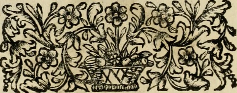 An illustration from Fasti ducales ab Anafesto I. ad Silvestrum Valerium Venetorum ducem : cum eorum iconibus, insignibus, nummismatibus publicis, & privatis aere sculptis : inscriptionibus ex aula M. Consilii, ac sepulchralibus : adiectae sunt adnotationes, ad vitam cuiusque principis, rerum, quae omissae fuerant, 1696, leaf 137