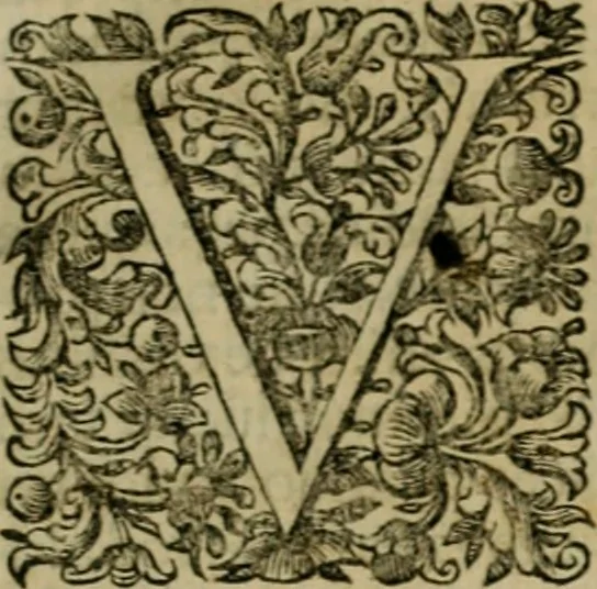 An illustration from Fasti ducales ab Anafesto I. ad Silvestrum Valerium Venetorum ducem : cum eorum iconibus, insignibus, nummismatibus publicis, & privatis aere sculptis : inscriptionibus ex aula M. Consilii, ac sepulchralibus : adiectae sunt adnotationes, ad vitam cuiusque principis, rerum, quae omissae fuerant, 1696, leaf 14