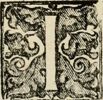 An illustration from Fasti ducales ab Anafesto I. ad Silvestrum Valerium Venetorum ducem : cum eorum iconibus, insignibus, nummismatibus publicis, & privatis aere sculptis : inscriptionibus ex aula M. Consilii, ac sepulchralibus : adiectae sunt adnotationes, ad vitam cuiusque principis, rerum, quae omissae fuerant, 1696, leaf 161
