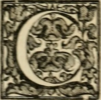 An illustration from Fasti ducales ab Anafesto I. ad Silvestrum Valerium Venetorum ducem : cum eorum iconibus, insignibus, nummismatibus publicis, & privatis aere sculptis : inscriptionibus ex aula M. Consilii, ac sepulchralibus : adiectae sunt adnotationes, ad vitam cuiusque principis, rerum, quae omissae fuerant, 1696, leaf 175
