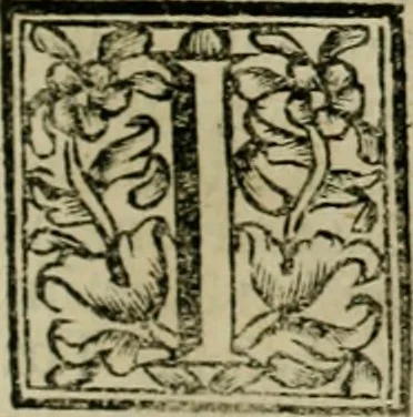 An illustration from Fasti ducales ab Anafesto I. ad Silvestrum Valerium Venetorum ducem : cum eorum iconibus, insignibus, nummismatibus publicis, & privatis aere sculptis : inscriptionibus ex aula M. Consilii, ac sepulchralibus : adiectae sunt adnotationes, ad vitam cuiusque principis, rerum, quae omissae fuerant, 1696, leaf 190