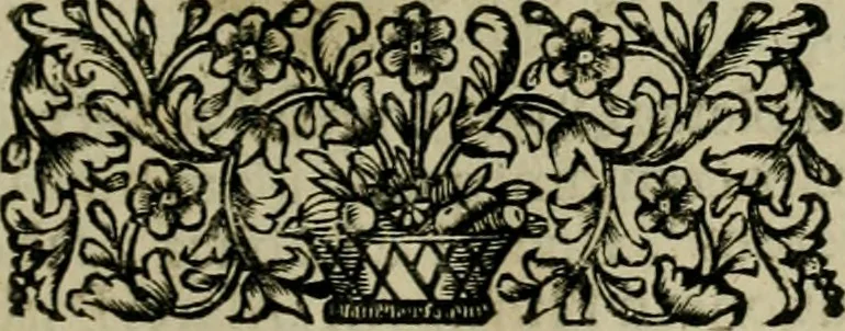 An illustration from Fasti ducales ab Anafesto I. ad Silvestrum Valerium Venetorum ducem : cum eorum iconibus, insignibus, nummismatibus publicis, & privatis aere sculptis : inscriptionibus ex aula M. Consilii, ac sepulchralibus : adiectae sunt adnotationes, ad vitam cuiusque principis, rerum, quae omissae fuerant, 1696, leaf 192