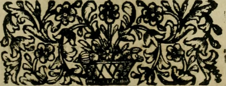 An illustration from Fasti ducales ab Anafesto I. ad Silvestrum Valerium Venetorum ducem : cum eorum iconibus, insignibus, nummismatibus publicis, & privatis aere sculptis : inscriptionibus ex aula M. Consilii, ac sepulchralibus : adiectae sunt adnotationes, ad vitam cuiusque principis, rerum, quae omissae fuerant, 1696, leaf 238