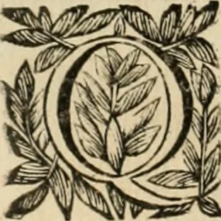An illustration from Fasti ducales ab Anafesto I. ad Silvestrum Valerium Venetorum ducem : cum eorum iconibus, insignibus, nummismatibus publicis, & privatis aere sculptis : inscriptionibus ex aula M. Consilii, ac sepulchralibus : adiectae sunt adnotationes, ad vitam cuiusque principis, rerum, quae omissae fuerant, 1696, leaf 251