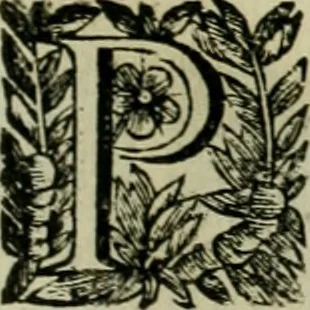 An illustration from Fasti ducales ab Anafesto I. ad Silvestrum Valerium Venetorum ducem : cum eorum iconibus, insignibus, nummismatibus publicis, & privatis aere sculptis : inscriptionibus ex aula M. Consilii, ac sepulchralibus : adiectae sunt adnotationes, ad vitam cuiusque principis, rerum, quae omissae fuerant, 1696, leaf 260