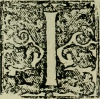 An illustration from Fasti ducales ab Anafesto I. ad Silvestrum Valerium Venetorum ducem : cum eorum iconibus, insignibus, nummismatibus publicis, & privatis aere sculptis : inscriptionibus ex aula M. Consilii, ac sepulchralibus : adiectae sunt adnotationes, ad vitam cuiusque principis, rerum, quae omissae fuerant, 1696, leaf 262