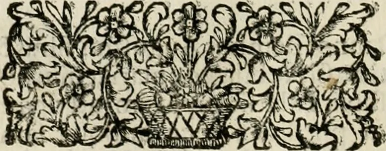 An illustration from Fasti ducales ab Anafesto I. ad Silvestrum Valerium Venetorum ducem : cum eorum iconibus, insignibus, nummismatibus publicis, & privatis aere sculptis : inscriptionibus ex aula M. Consilii, ac sepulchralibus : adiectae sunt adnotationes, ad vitam cuiusque principis, rerum, quae omissae fuerant, 1696, leaf 263