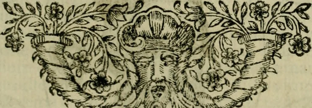 An illustration from Fasti ducales ab Anafesto I. ad Silvestrum Valerium Venetorum ducem : cum eorum iconibus, insignibus, nummismatibus publicis, & privatis aere sculptis : inscriptionibus ex aula M. Consilii, ac sepulchralibus : adiectae sunt adnotationes, ad vitam cuiusque principis, rerum, quae omissae fuerant, 1696, leaf 276