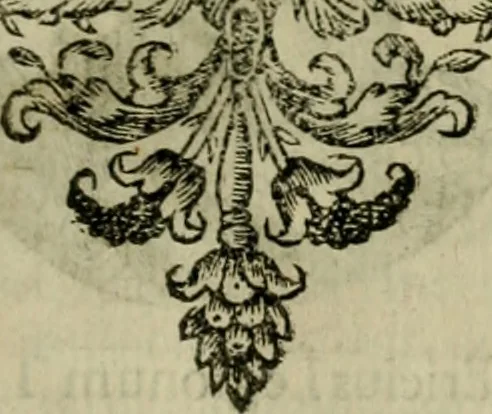 An illustration from Fasti ducales ab Anafesto I. ad Silvestrum Valerium Venetorum ducem : cum eorum iconibus, insignibus, nummismatibus publicis, & privatis aere sculptis : inscriptionibus ex aula M. Consilii, ac sepulchralibus : adiectae sunt adnotationes, ad vitam cuiusque principis, rerum, quae omissae fuerant, 1696, leaf 276