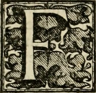 An illustration from Fasti ducales ab Anafesto I. ad Silvestrum Valerium Venetorum ducem : cum eorum iconibus, insignibus, nummismatibus publicis, & privatis aere sculptis : inscriptionibus ex aula M. Consilii, ac sepulchralibus : adiectae sunt adnotationes, ad vitam cuiusque principis, rerum, quae omissae fuerant, 1696, leaf 307