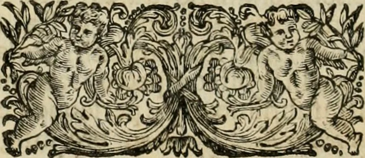 An illustration from Fasti ducales ab Anafesto I. ad Silvestrum Valerium Venetorum ducem : cum eorum iconibus, insignibus, nummismatibus publicis, & privatis aere sculptis : inscriptionibus ex aula M. Consilii, ac sepulchralibus : adiectae sunt adnotationes, ad vitam cuiusque principis, rerum, quae omissae fuerant, 1696, leaf 327