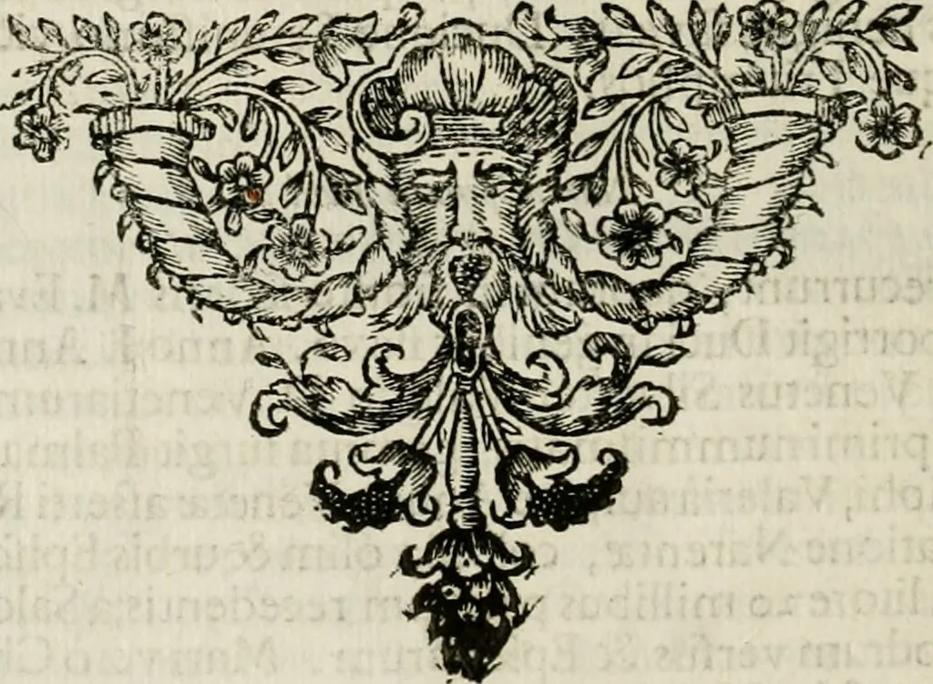 An illustration from Fasti ducales ab Anafesto I. ad Silvestrum Valerium Venetorum ducem : cum eorum iconibus, insignibus, nummismatibus publicis, & privatis aere sculptis : inscriptionibus ex aula M. Consilii, ac sepulchralibus : adiectae sunt adnotationes, ad vitam cuiusque principis, rerum, quae omissae fuerant, 1696, leaf 343