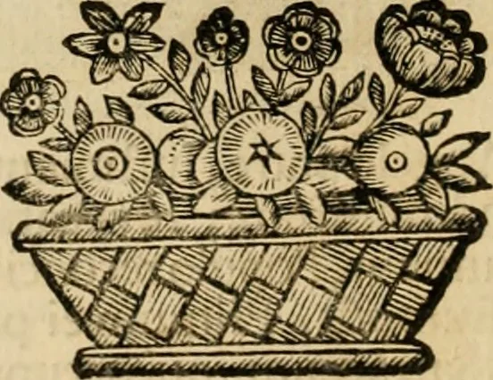 An illustration from Fasti ducales ab Anafesto I. ad Silvestrum Valerium Venetorum ducem : cum eorum iconibus, insignibus, nummismatibus publicis, & privatis aere sculptis : inscriptionibus ex aula M. Consilii, ac sepulchralibus : adiectae sunt adnotationes, ad vitam cuiusque principis, rerum, quae omissae fuerant, 1696, leaf 35