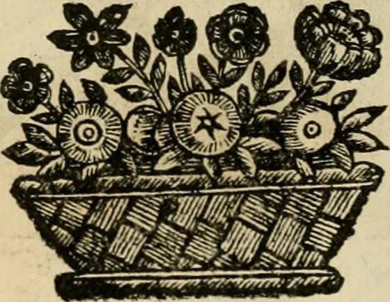 An illustration from Fasti ducales ab Anafesto I. ad Silvestrum Valerium Venetorum ducem : cum eorum iconibus, insignibus, nummismatibus publicis, & privatis aere sculptis : inscriptionibus ex aula M. Consilii, ac sepulchralibus : adiectae sunt adnotationes, ad vitam cuiusque principis, rerum, quae omissae fuerant, 1696, leaf 53