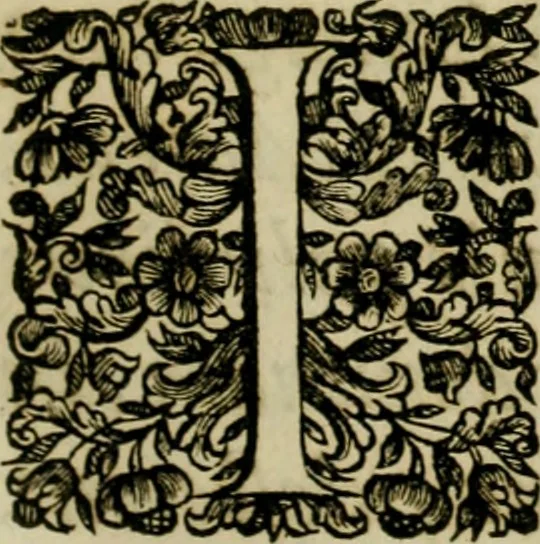 An illustration from Fasti ducales ab Anafesto I. ad Silvestrum Valerium Venetorum ducem : cum eorum iconibus, insignibus, nummismatibus publicis, & privatis aere sculptis : inscriptionibus ex aula M. Consilii, ac sepulchralibus : adiectae sunt adnotationes, ad vitam cuiusque principis, rerum, quae omissae fuerant, 1696, leaf 8