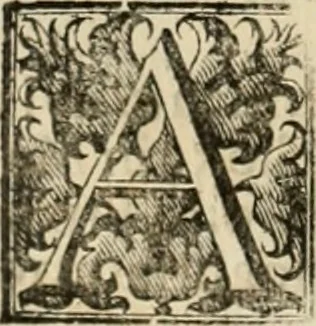 An illustration from Fasti ducales ab Anafesto I. ad Silvestrum Valerium Venetorum ducem : cum eorum iconibus, insignibus, nummismatibus publicis, & privatis aere sculptis : inscriptionibus ex aula M. Consilii, ac sepulchralibus : adiectae sunt adnotationes, ad vitam cuiusque principis, rerum, quae omissae fuerant, 1696, leaf 95