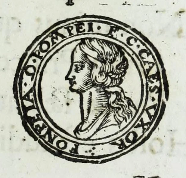 An illustration from Ducalis regiae lararium, siue, Ser[enisi]m[a]e Reipu. Venetae principu[m] omniu[m] icones : vsque ad serenisimu[m] Ioannem Pisaurum, qui nunc reru[m] feliciter potitur, elogia P.D. Leonis Matinae .., 1659, leaf 111