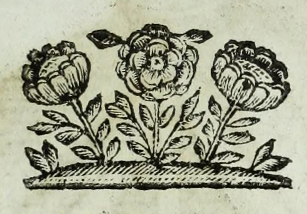 An illustration from Ducalis regiae lararium, siue, Ser[enisi]m[a]e Reipu. Venetae principu[m] omniu[m] icones : vsque ad serenisimu[m] Ioannem Pisaurum, qui nunc reru[m] feliciter potitur, elogia P.D. Leonis Matinae .., 1659, leaf 119