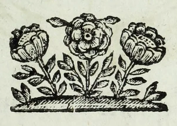An illustration from Ducalis regiae lararium, siue, Ser[enisi]m[a]e Reipu. Venetae principu[m] omniu[m] icones : vsque ad serenisimu[m] Ioannem Pisaurum, qui nunc reru[m] feliciter potitur, elogia P.D. Leonis Matinae .., 1659, leaf 135