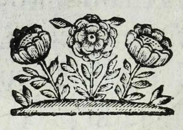 An illustration from Ducalis regiae lararium, siue, Ser[enisi]m[a]e Reipu. Venetae principu[m] omniu[m] icones : vsque ad serenisimu[m] Ioannem Pisaurum, qui nunc reru[m] feliciter potitur, elogia P.D. Leonis Matinae .., 1659, leaf 178