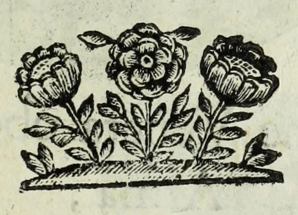 An illustration from Ducalis regiae lararium, siue, Ser[enisi]m[a]e Reipu. Venetae principu[m] omniu[m] icones : vsque ad serenisimu[m] Ioannem Pisaurum, qui nunc reru[m] feliciter potitur, elogia P.D. Leonis Matinae .., 1659, leaf 199