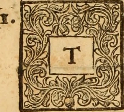 An illustration from Ductor dubitantium : or, The rule of conscience in all her general measures; serving as a great instrument for the determination of cases of conscience. In four books, 1671, leaf 175