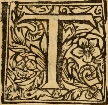 An illustration from Ductor dubitantium : or, The rule of conscience in all her general measures; serving as a great instrument for the determination of cases of conscience. In four books, 1671, leaf 8