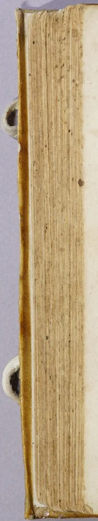 An illustration from Due libri dell'historia de i semplici, aromati, et altre cose; che vengono portate dall'Indie Orientali pertinenti all'vso della medicina., 1582, leaf 452