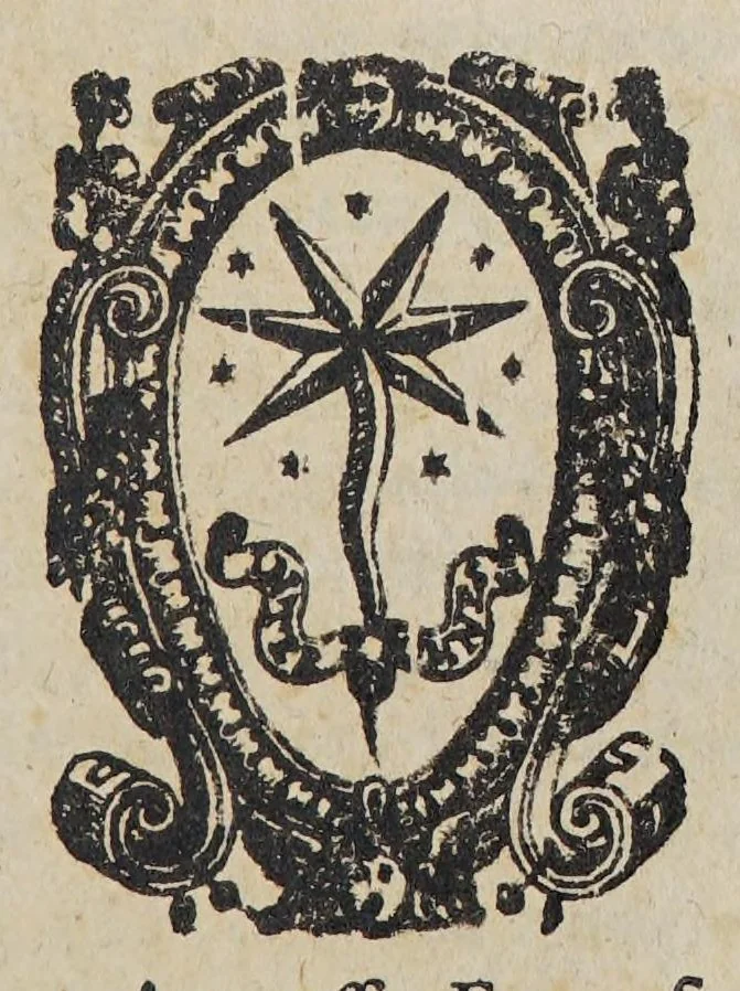 An illustration from Due libri dell'historia de i semplici, aromati, et altre cose; che vengono portate dall'Indie Orientali pertinenti all'vso della medicina., 1582, leaf 509