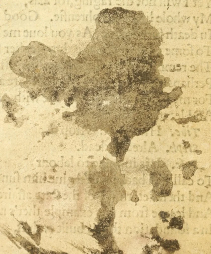 An illustration from The Duke of Millaine : a tragaedie as it hath beene often acted by His Maiesties Seruants, at the Blacke Friers, 1623, leaf 98