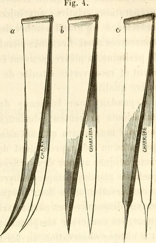 An illustration from Du microscope et des injections : dans leurs applications à l'anatomie et à la pathologie, suivi d'une classification des sciences fondamentales, de celle de la biologie et de l'anatomie en particulier, 1849, leaf 112