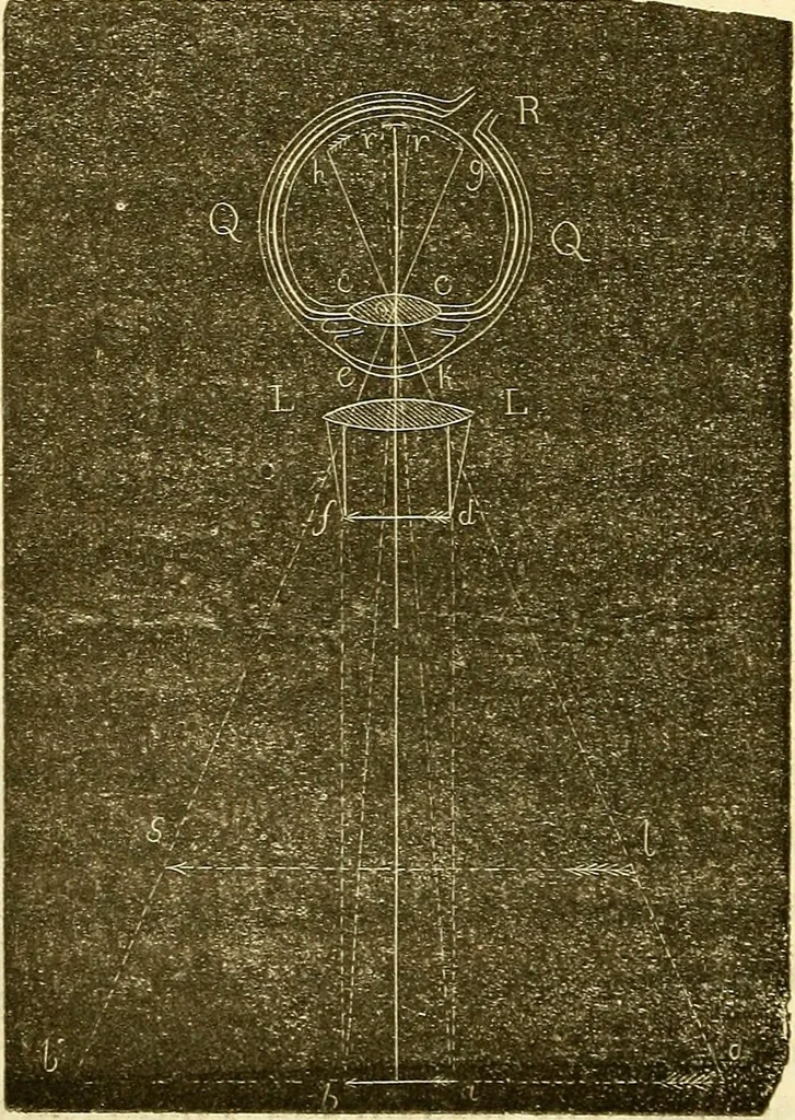 An illustration from Du microscope et des injections : dans leurs applications à l'anatomie et à la pathologie, suivi d'une classification des sciences fondamentales, de celle de la biologie et de l'anatomie en particulier, 1849, leaf 119