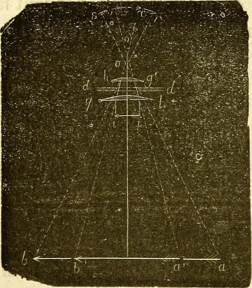 An illustration from Du microscope et des injections : dans leurs applications à l'anatomie et à la pathologie, suivi d'une classification des sciences fondamentales, de celle de la biologie et de l'anatomie en particulier, 1849, leaf 127