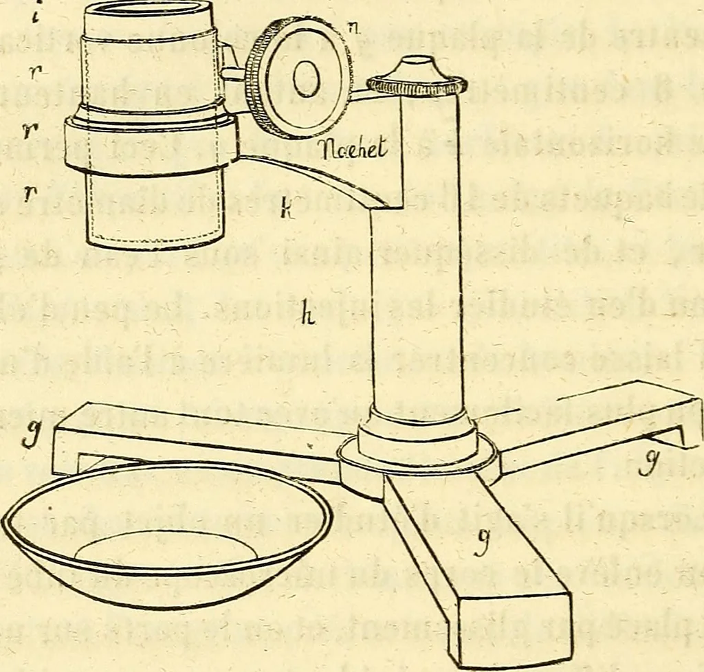 An illustration from Du microscope et des injections : dans leurs applications à l'anatomie et à la pathologie, suivi d'une classification des sciences fondamentales, de celle de la biologie et de l'anatomie en particulier, 1849, leaf 133