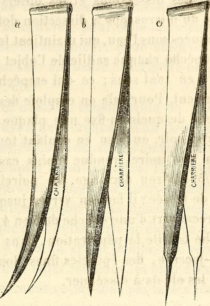 An illustration from Du microscope et des injections : dans leurs applications à l'anatomie et à la pathologie, suivi d'une classification des sciences fondamentales, de celle de la biologie et de l'anatomie en particulier, 1849, leaf 136