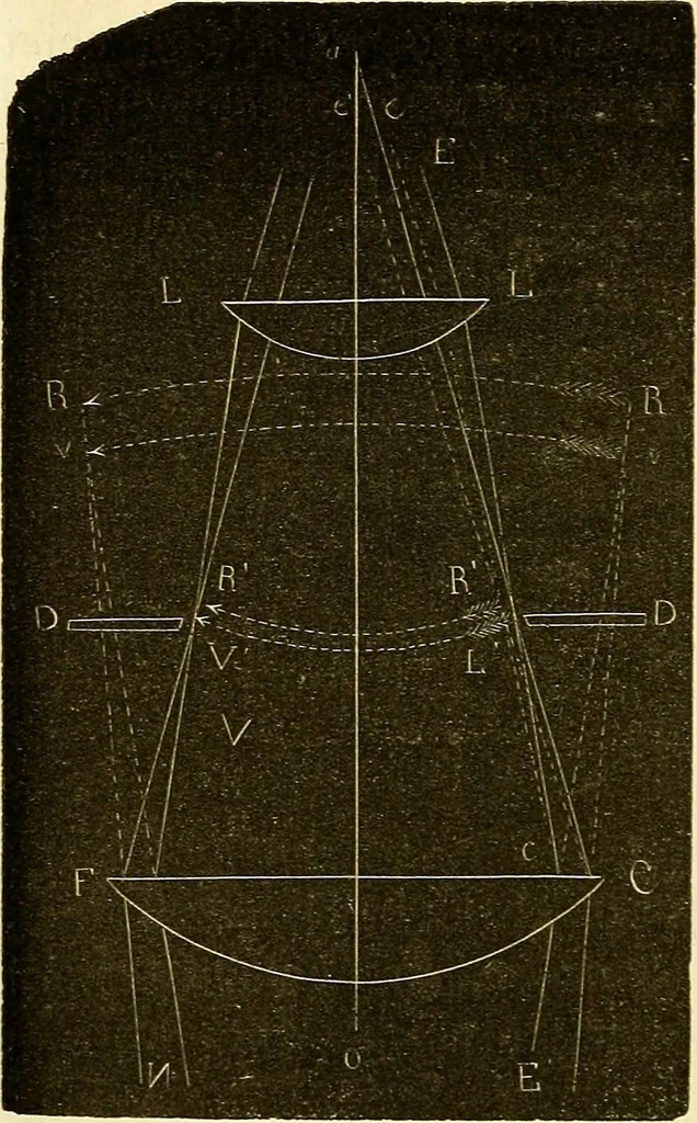 An illustration from Du microscope et des injections : dans leurs applications à l'anatomie et à la pathologie, suivi d'une classification des sciences fondamentales, de celle de la biologie et de l'anatomie en particulier, 1849, leaf 163