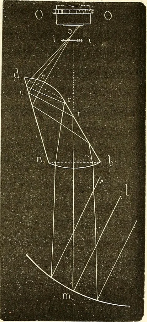 An illustration from Du microscope et des injections : dans leurs applications à l'anatomie et à la pathologie, suivi d'une classification des sciences fondamentales, de celle de la biologie et de l'anatomie en particulier, 1849, leaf 182