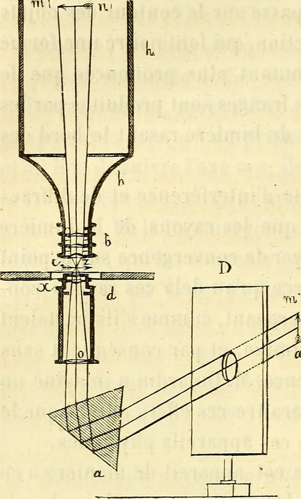An illustration from Du microscope et des injections : dans leurs applications à l'anatomie et à la pathologie, suivi d'une classification des sciences fondamentales, de celle de la biologie et de l'anatomie en particulier, 1849, leaf 185