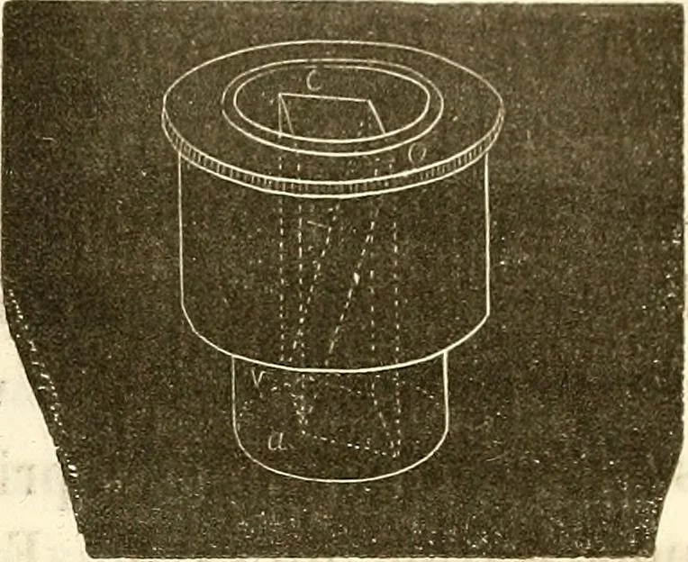 An illustration from Du microscope et des injections : dans leurs applications à l'anatomie et à la pathologie, suivi d'une classification des sciences fondamentales, de celle de la biologie et de l'anatomie en particulier, 1849, leaf 188