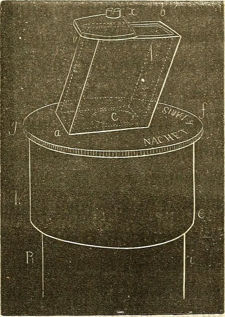 An illustration from Du microscope et des injections : dans leurs applications à l'anatomie et à la pathologie, suivi d'une classification des sciences fondamentales, de celle de la biologie et de l'anatomie en particulier, 1849, leaf 188