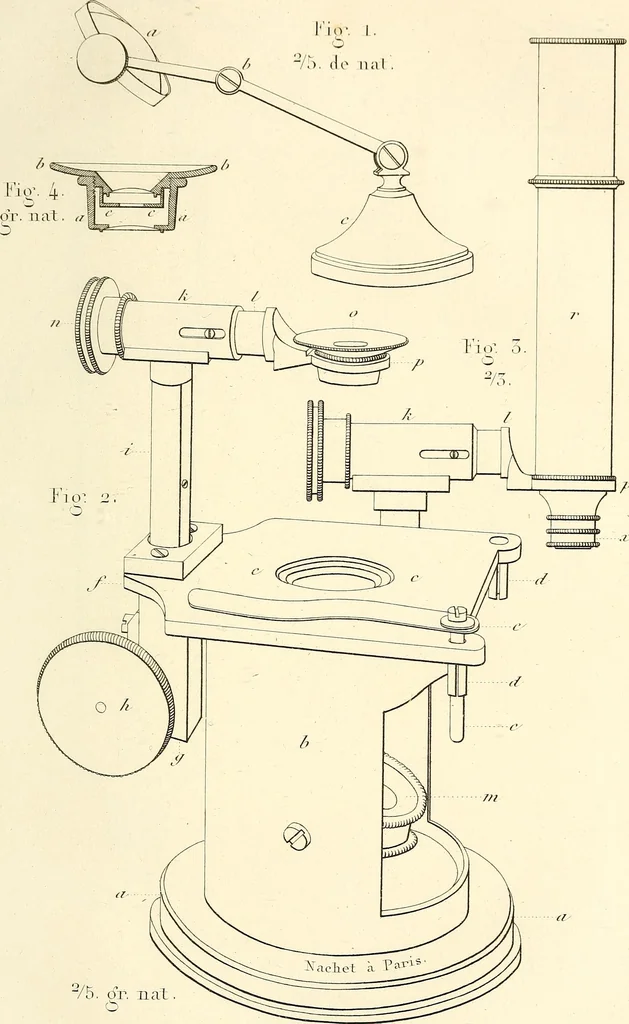 An illustration from Du microscope et des injections : dans leurs applications à l'anatomie et à la pathologie, suivi d'une classification des sciences fondamentales, de celle de la biologie et de l'anatomie en particulier, 1849, leaf 302
